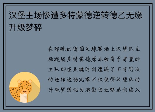 汉堡主场惨遭多特蒙德逆转德乙无缘升级梦碎