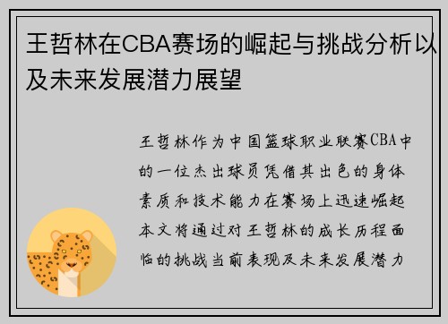 王哲林在CBA赛场的崛起与挑战分析以及未来发展潜力展望