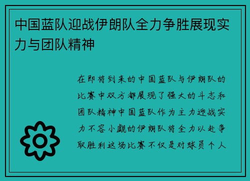 中国蓝队迎战伊朗队全力争胜展现实力与团队精神